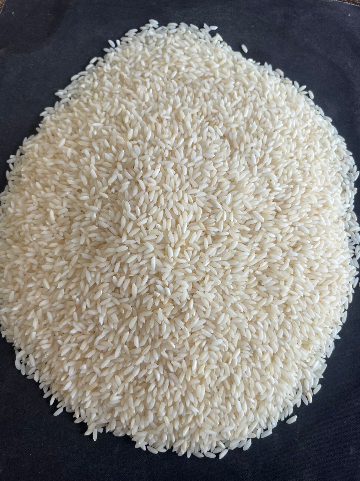 🌾 SONA MASOORI RICE – READY FOR EXPORT 🌾